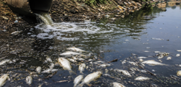 Áreas contaminadas e os riscos para a saúde e para o meio ambiente