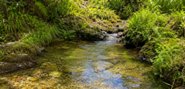 Os principais desafios para garantir segurança hídrica nas cidades e no campo