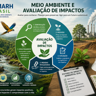 Avaliação de Impactos